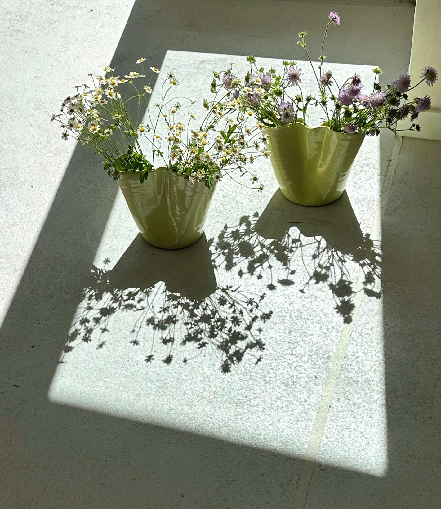 shell vase